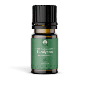 Essential Oil Eucalyptus