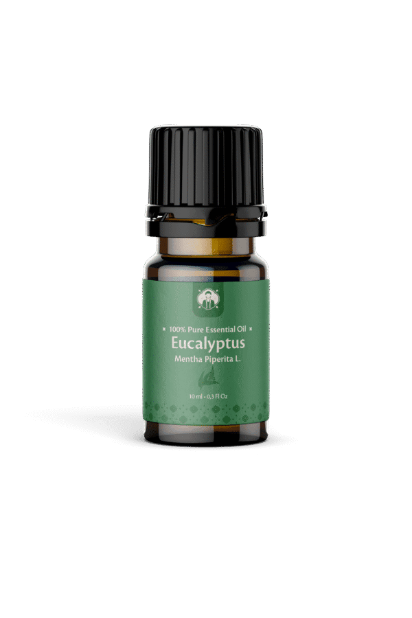 Essential Oil Eucalyptus