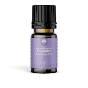 Essential Oil Lavender