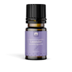 Essential Oil Lavender