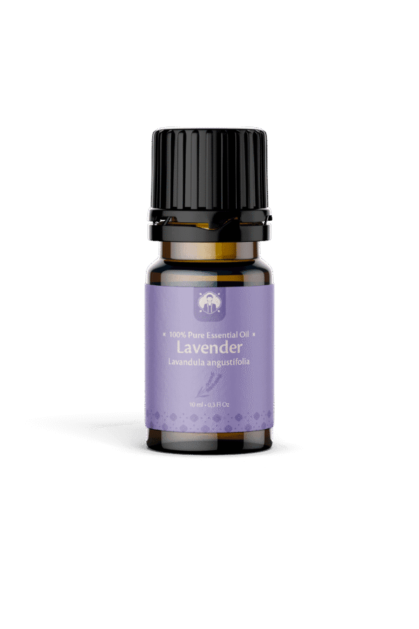 Essential Oil Lavender