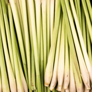 Lemongrass