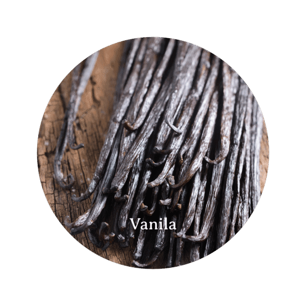 Natural Soy Candle Legit Rasa - Gambar 2