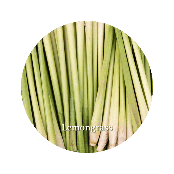 Car Freshener Lemongrass - Gambar 2