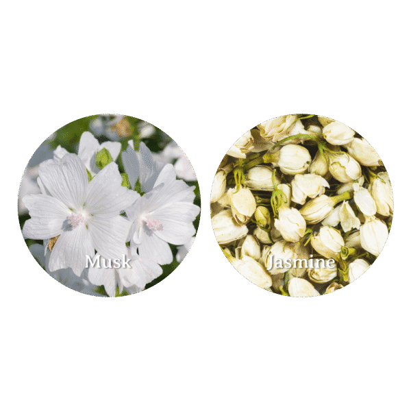 Aromatherapy Antibacterial Room & Linen Spray Nirwana 250ml - Gambar 2