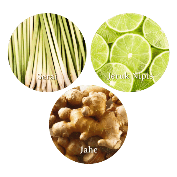 Reed Diffuser Seruni - Gambar 2