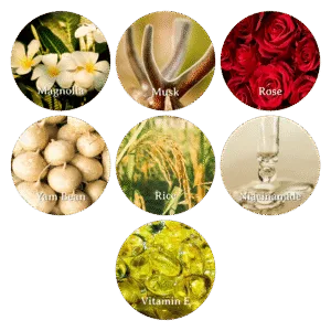 bahan & aroma body wash Puspa Wangi
