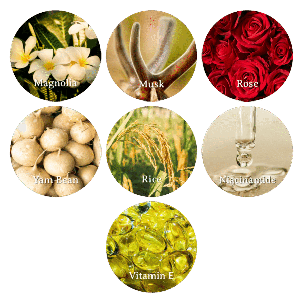 bahan & aroma body wash Puspa Wangi
