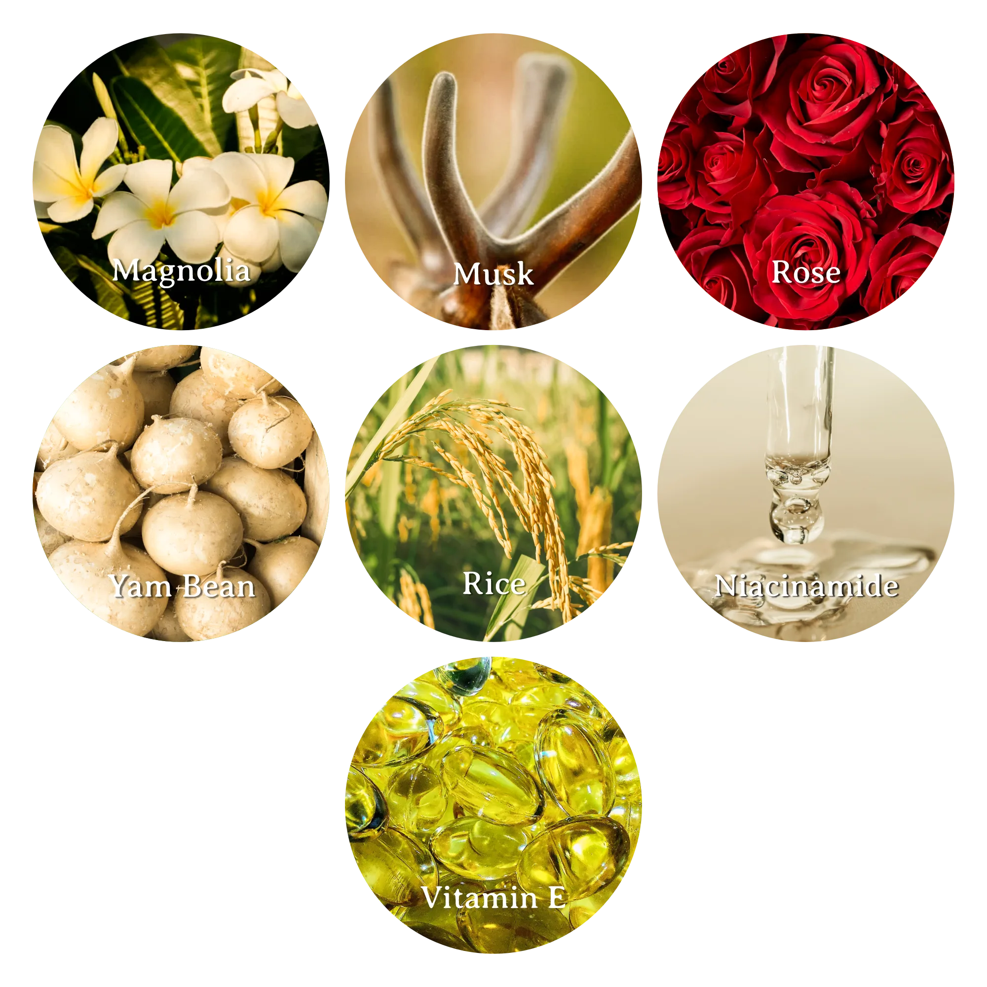 bahan & aroma body wash Puspa Wangi