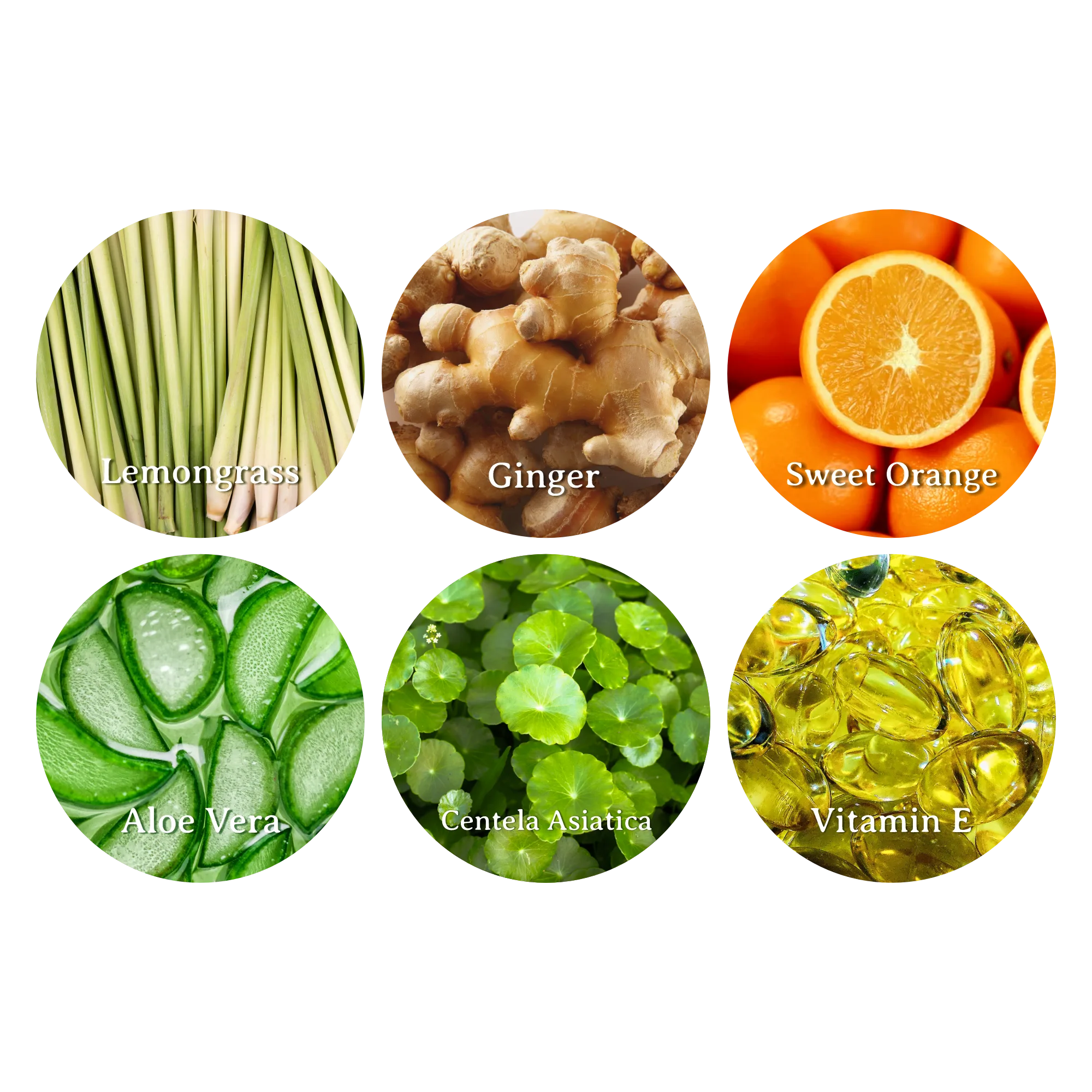 bahan & aroma body wash Sagara