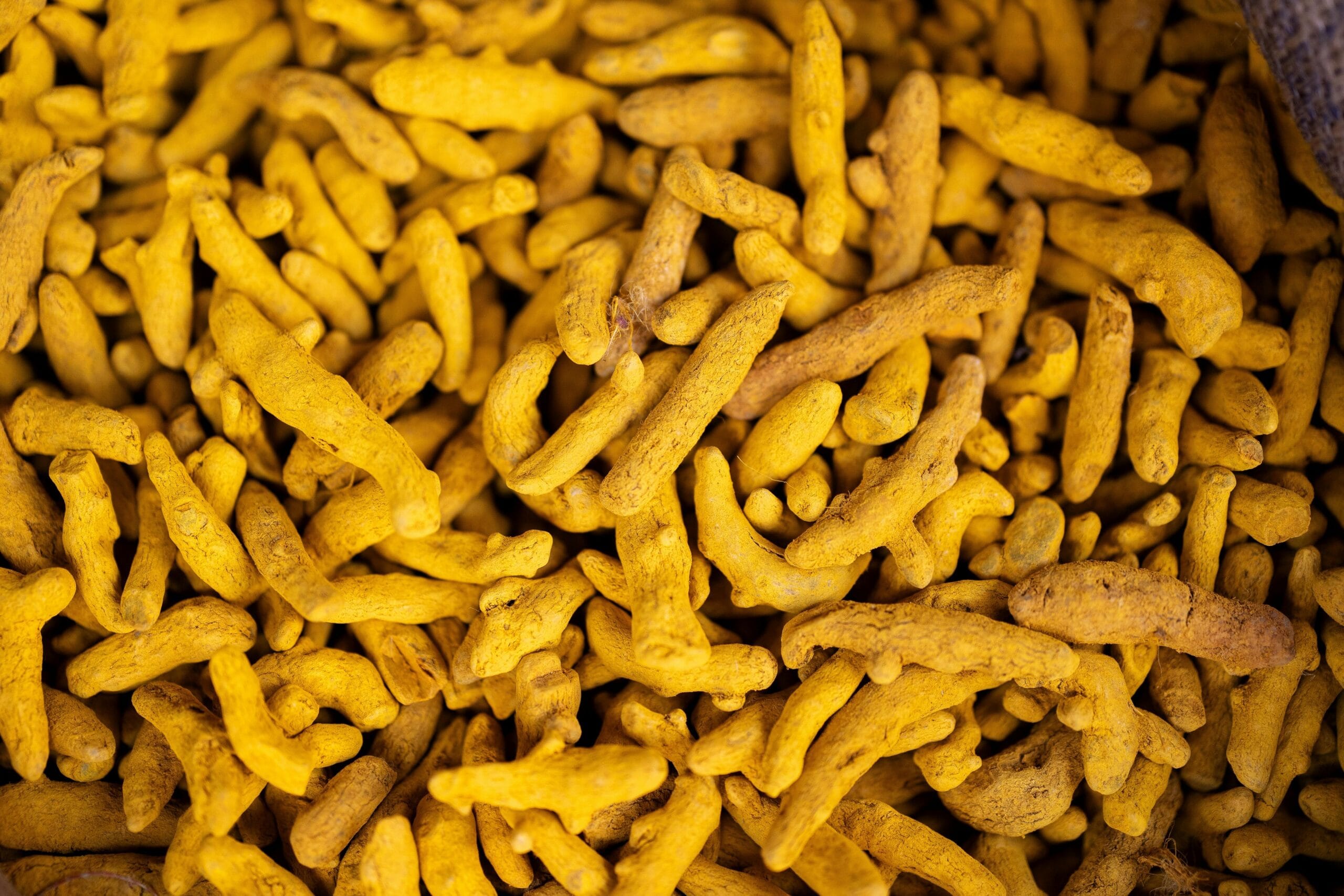 Tanaman Obat Tradisional